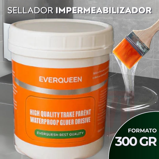 Sellador Impermeabilizador Transparente 300gr