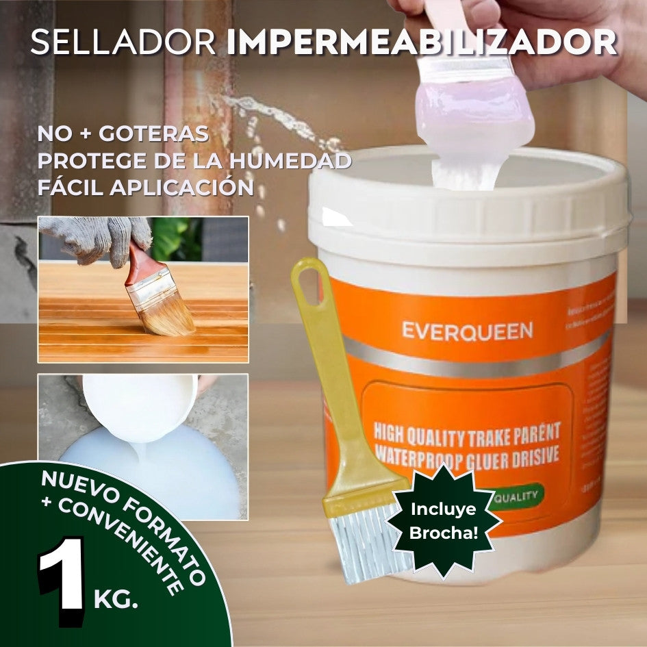 Sellador Impermeabilizador Transparente 1Kg - NUEVO FORMATO